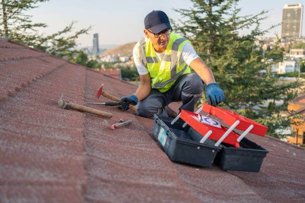 Best Storm Damage Siding Repair  in Arthurdale, WV